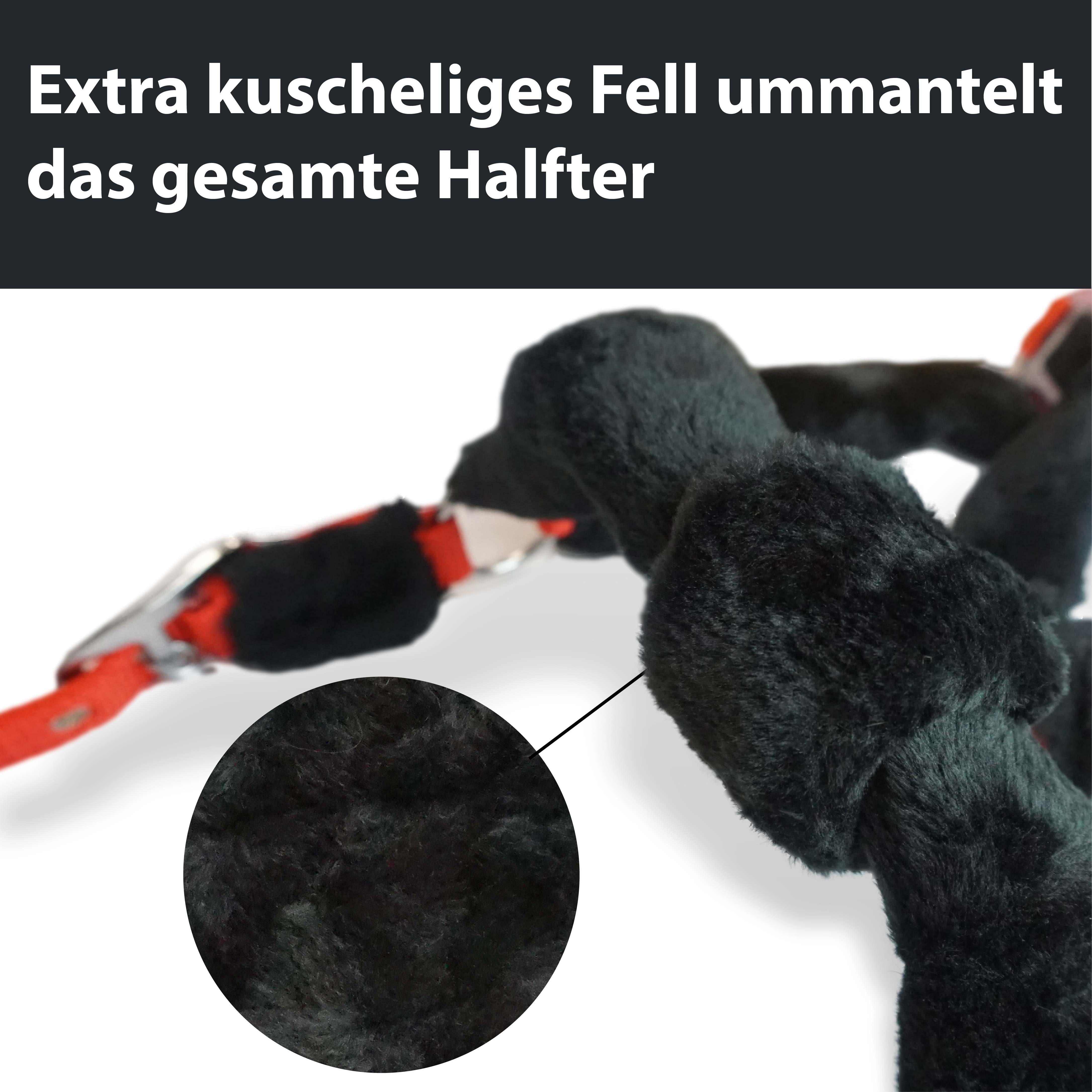 Halfter mit Fell, weich gepolstert